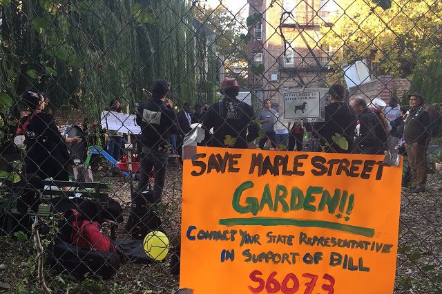 A proposed eminent domain seizure opens up a new front in the protracted battle for the Maple Street Garden in Brooklyn.
